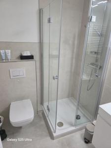 a bathroom with a glass shower with a toilet at PEMATRA FeWo Kleine Brise in Travemünde