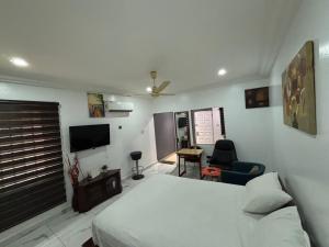 Et tv og/eller underholdning på 1 bedroom apartment