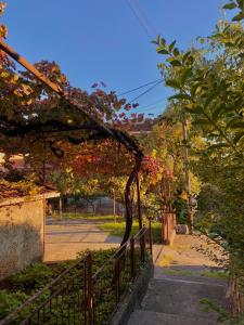 una cerca con flores en ella al lado de una calle en Small Hill Guesthouse, en Podgorica 22 fotos más