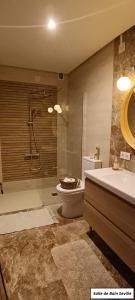 a bathroom with a shower and a toilet and a sink at Oasis de Bornos Maison Entière in Bornos
