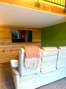 TV a/nebo společenská místnost v ubytování Charmant logement en campagne avec piscine