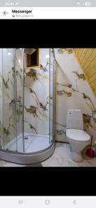 une salle de bain avec douche et toilettes dans l'établissement Martvili canyon cottage Love nest, à Martvili