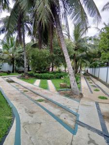 a sidewalk with palm trees and a palm tree at Jasmine Chill Cafe & Guest House in Chilaw
