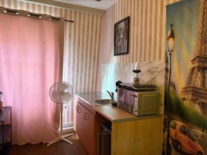 a kitchen with a microwave on top of a counter at La Parisienne Coquine Love and Plaisir - Love Room in Troyes