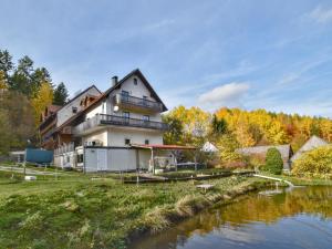 a house on a hill next to a river at Weiherblasch I in Dietersdorf