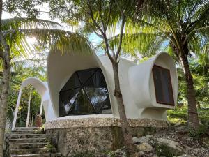 ein Haus mit einem Fenster und einigen Palmen in der Unterkunft Cayuco Maya in Bacalar