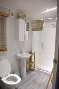 ein Badezimmer mit Toilette, Waschbecken und Dusche in der Unterkunft Ty Cwtch Cabin - secluded woodland cabin & covered hot tub in Moffat