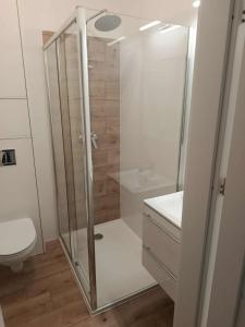 a bathroom with a shower and a toilet and a sink at Old Town Apartment Elbląg in Elblag