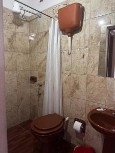 a bathroom with a toilet and a shower and a sink at Hostel el Amanecer in Puerto Iguazú