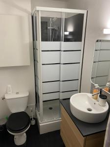 ein Badezimmer mit Dusche, Toilette und Waschbecken in der Unterkunft Les Frimousses in Cabourg
