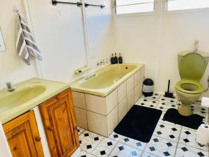 a bathroom with a green toilet and a sink at ZM Rooted Properties in Frankfort