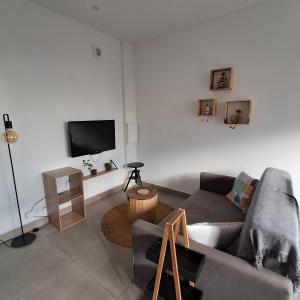 een woonkamer met een bank en een tv bij Appartement st leu Vill'Alizoé in Entre-Deux