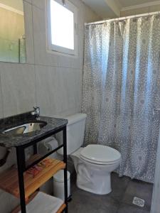 a bathroom with a toilet and a shower curtain at Río Epuyén Aparts in El Hoyo