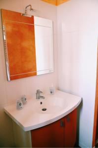 a bathroom with a sink and a mirror at Logement indépendant dans cité médiévale in La Charité-sur-Loire