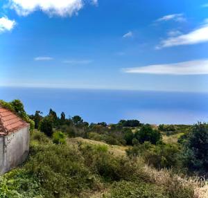 Naturlandskabet i nærheden af lejligheden