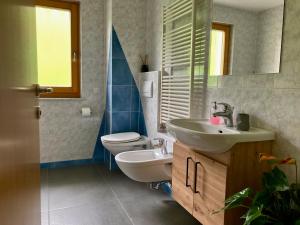 a bathroom with a toilet and a sink and mirror at Brixlechnerhof in Maranza +21 photos