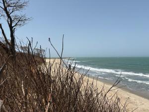 a sandy beach with a tree and the ocean at Tanji Bco Bird Resort in Tanji