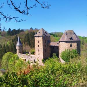an old castle in the middle of a field at B&B Haus Jola in Nidrum