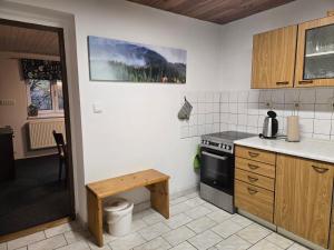 Kuchyň nebo kuchyňský kout v ubytování Apartmány Lebedín + 8 fotografií