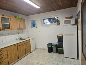 a kitchen with a white refrigerator and a microwave at Apartmány Lebedín in Nová Ves +9 photos