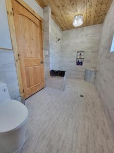 a bathroom with a toilet and a wooden door at Private Retreat with Pond, Pool and Hot Tub in Boyd