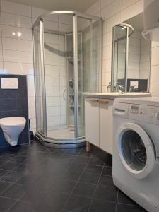 a bathroom with a washing machine and a shower at Aurora view apartment III - close to everything in Tromsø