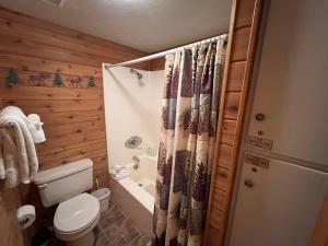 a bathroom with a toilet and a shower curtain at Summit House East 1 Bed Loft 2 Bath SHMB in Wheeler Junction +20 photos
