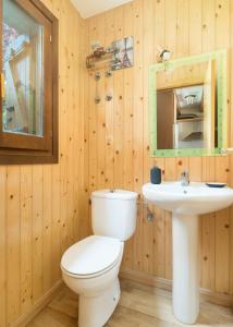a bathroom with a toilet and a sink at Casa Los Altos de Santiago in Villanúa +16 photos