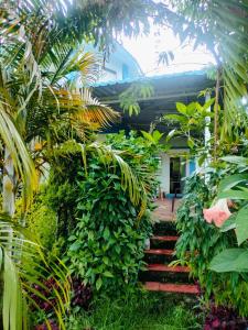 a house with stairs in the middle of a garden at Wild Nest Kotagiri in Kotagiri