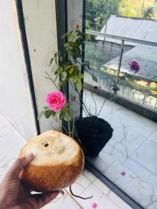a person holding a piece of bread in front of a window at Le megève in Antalaha