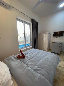 une chambre avec un grand lit avec une grande fenêtre dans l'établissement Villa Al Rabia, à Louxor