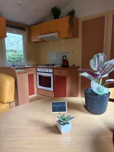 a kitchen with a table with a plant on it at De Berk in Zuidwolde