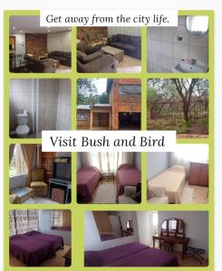 Φωτογραφία από το άλμπουμ του Bufflesdrift Bush and Birding στην Πρετόρια