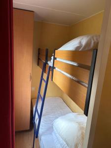 a bunk bed with a ladder in a room at De Berk in Zuidwolde