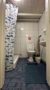 a bathroom with a toilet and a sink at Ollinpolun matkakoti in Sulkava +25 photos