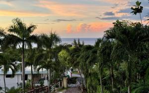 Φυσικό τοπίο κοντά σε αυτό το διαμέρισμα