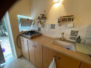 een keuken met een spoelbak en een fornuis bij The olive tree in Harduf