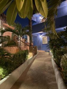 a hallway with palm trees in a building at night at Posada Nomad in San José del Cabo