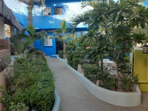 a row of palm trees and plants in a building at Posada Nomad in San José del Cabo