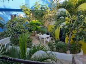 a garden with palm trees and a white table at Posada Nomad in San José del Cabo +56 photos