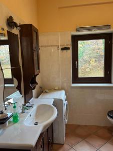 a bathroom with a sink and a washing machine at La Piccola Stella in Castel del Giudice