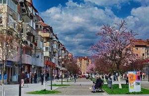 a person sitting in a wheelchair on a city street at Cozy Home Studio in Petroşani