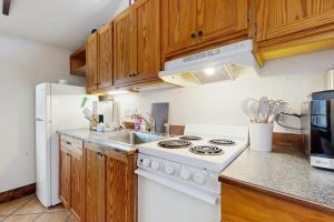 a kitchen with a white stove and a sink at Main Street Wood Cottage in Brevard +4 photos