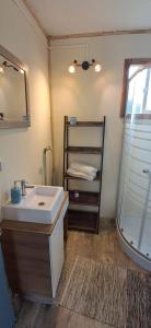 フタレウフにあるTambera Futaleufúの洗面台とシャワー付きのバスルーム