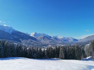 a snow covered hill with trees and mountains in the background at Apartment Erlah in Rateče +3 photos