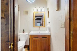 a bathroom with a toilet and a sink and a mirror at Main Street Cottages in Brevard +24 photos