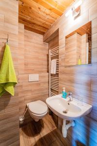 a bathroom with a sink and a toilet at Apartmány U Žaloudků in Dolní Morava