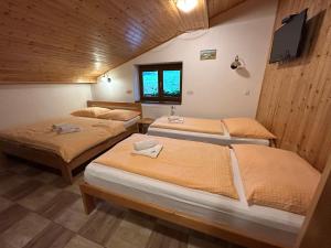 a bedroom with two beds in a room at Apartmány U Žaloudků in Dolní Morava +59 photos