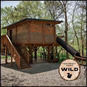 Fotografie z fotogalerie ubytování "Squirrels Gone Wild" Luxury Treehouse Adventure Near Dollywood & Pigeon Forge v destinaci Sevierville + 14 fotografií