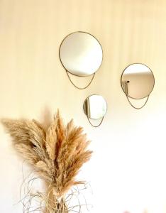 dos espejos y una pluma en una pared en Cocooning appartement, en Joué-lès-Tours